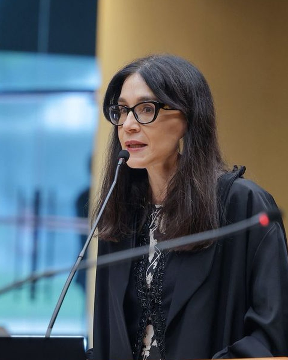 Patrícia Perrone Campos Mello em sustentação oral